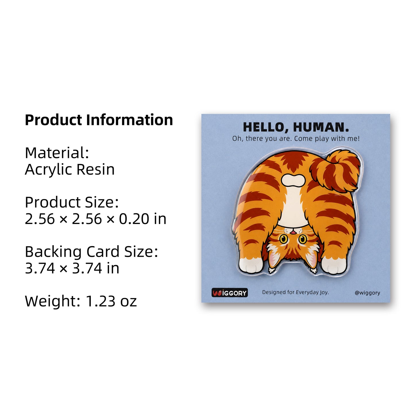 Orange Maine Coon