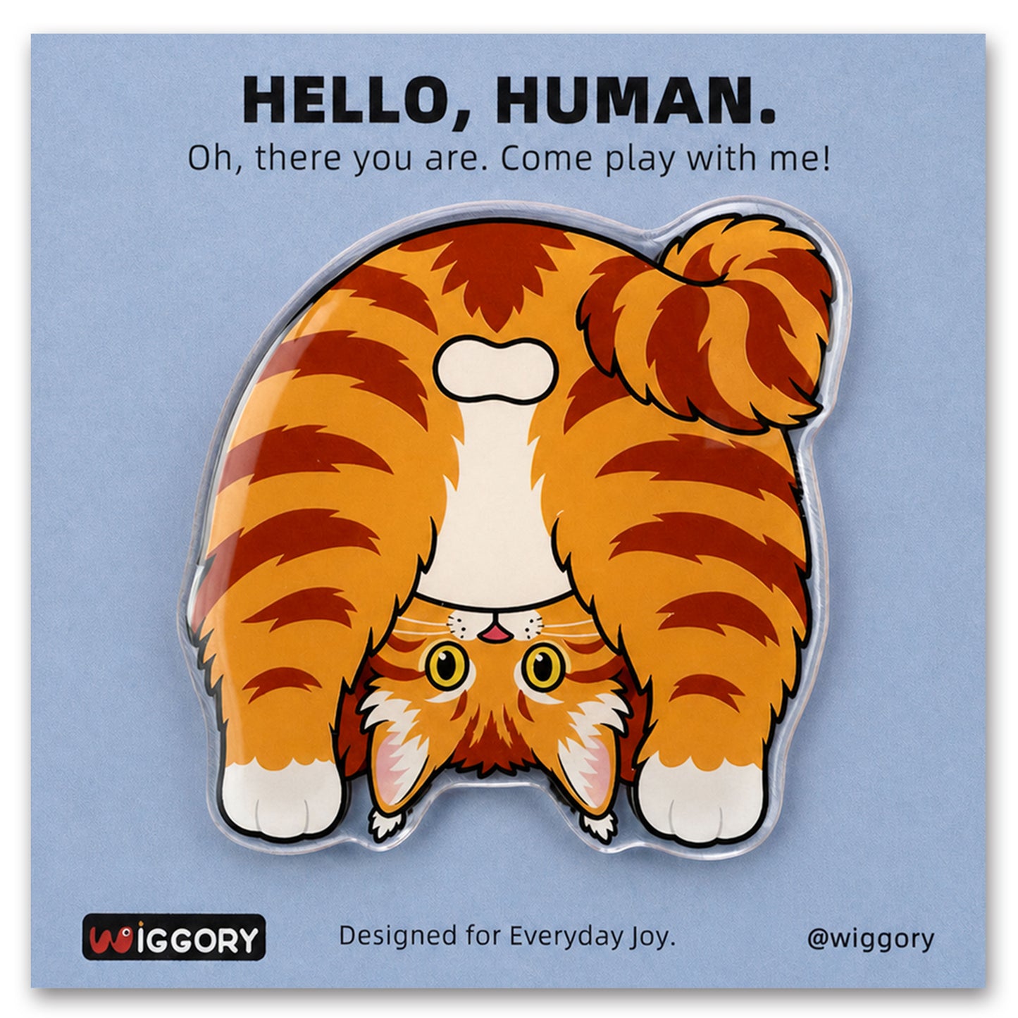 Orange Maine Coon