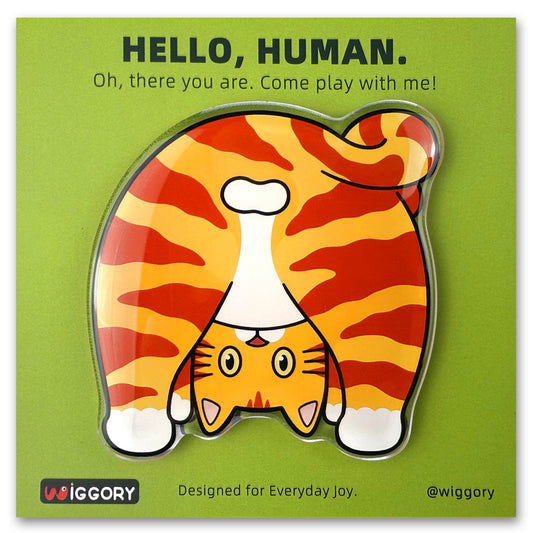 Orange Tabby Cat