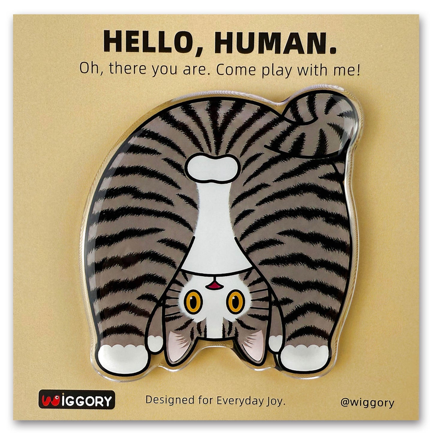 Tabby Cat