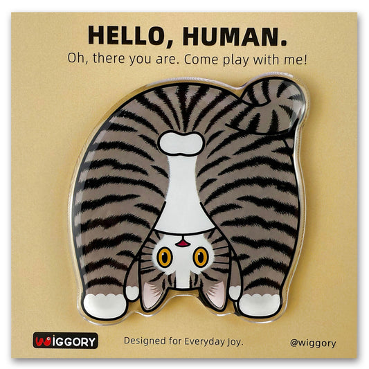 Tabby Cat